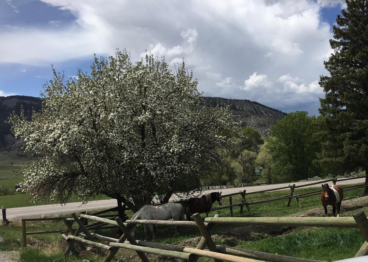 فيلا جاردينرفي Little Trail Creek Cabins المظهر الخارجي الصورة