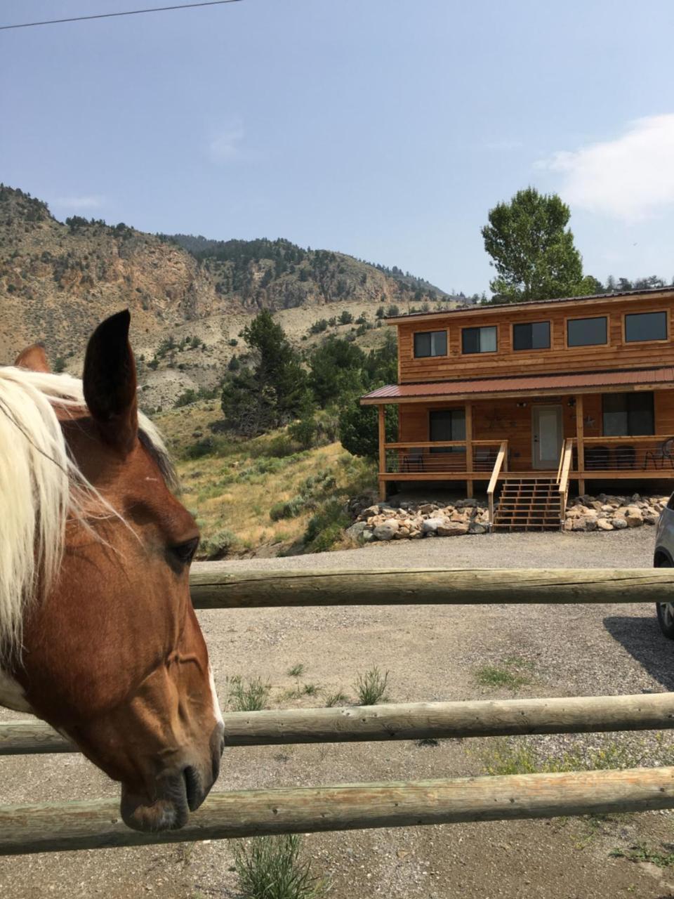 فيلا جاردينرفي Little Trail Creek Cabins المظهر الخارجي الصورة