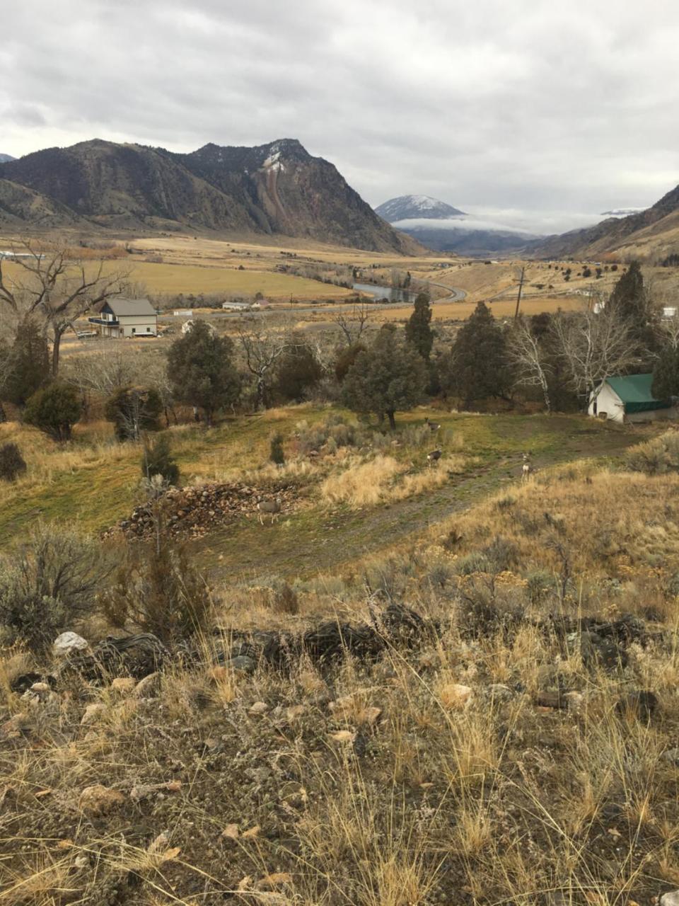 فيلا جاردينرفي Little Trail Creek Cabins المظهر الخارجي الصورة